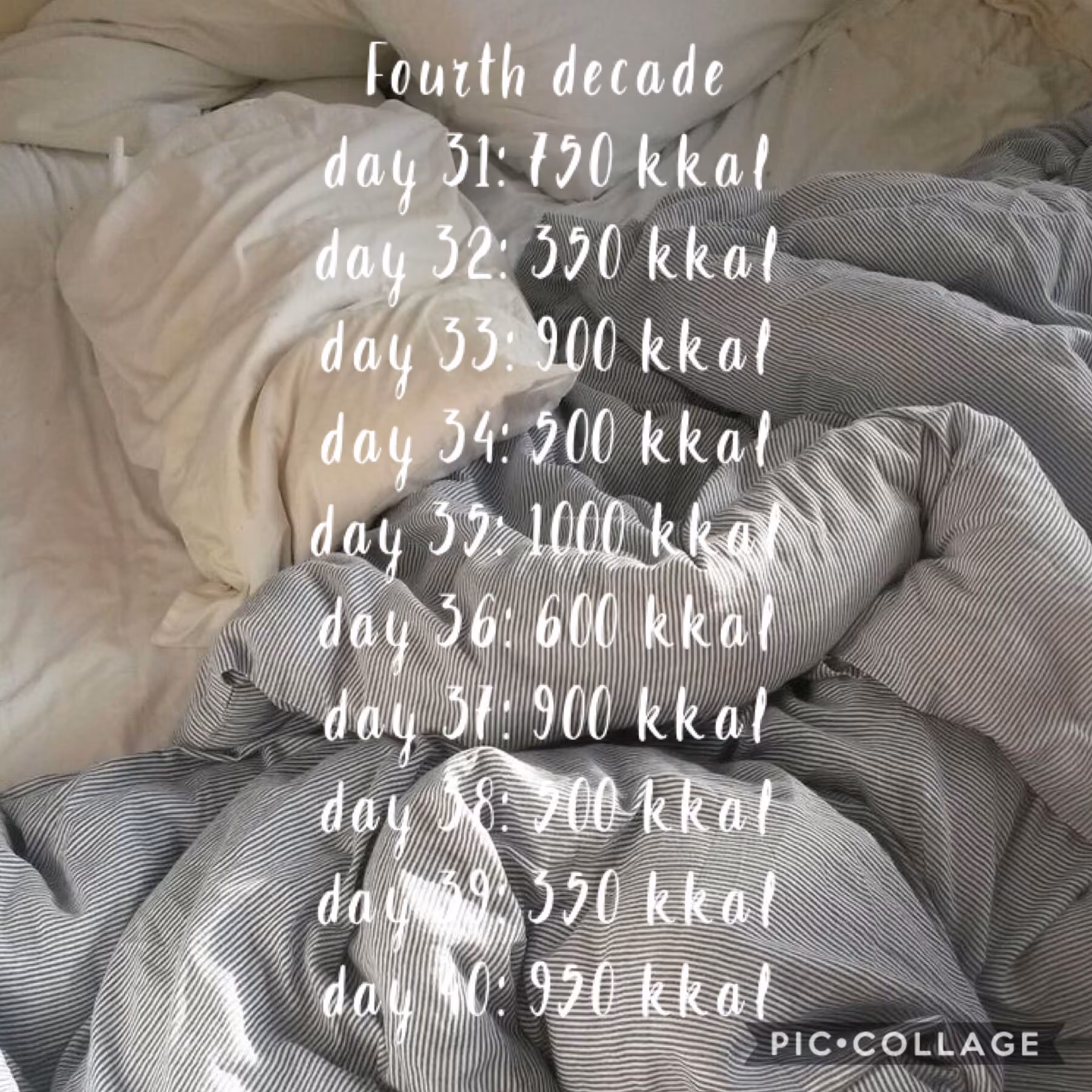 28b0f25d62ba3ad30c9fd355d36d1945.jpg