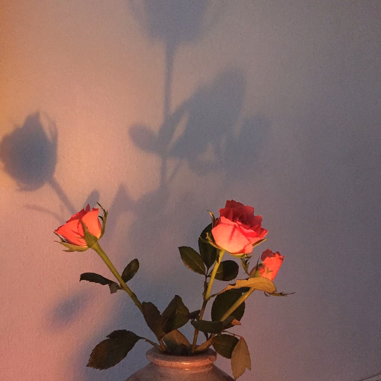 28c9b0653931a34c8414e6ca97c4bf14.jpg