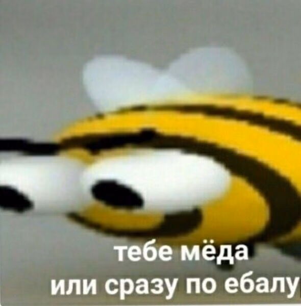28cea79564be2c896a2847088abd02f0.jpg