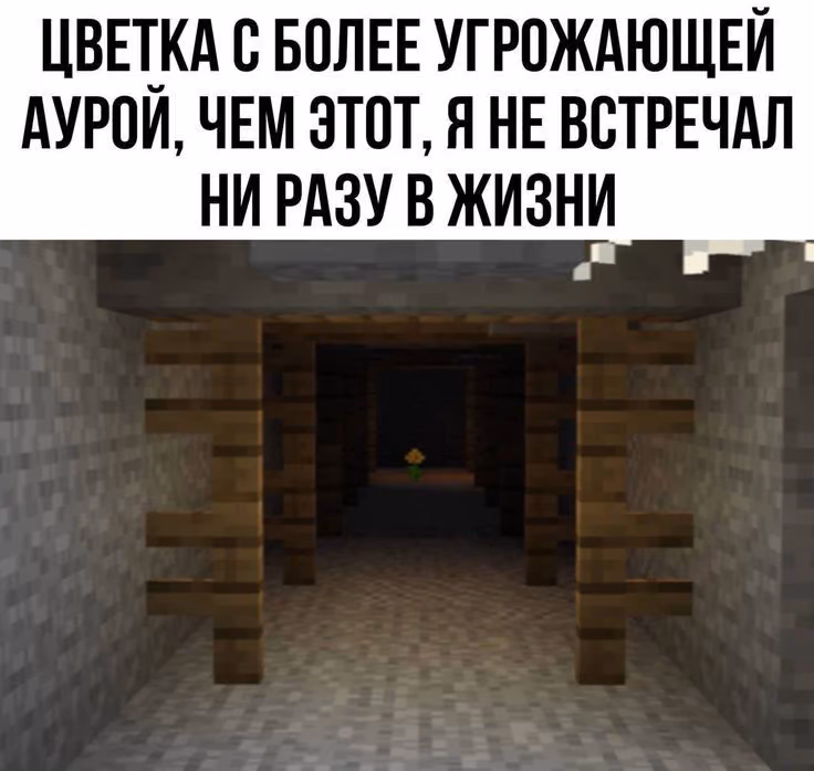 28e67db0a3fc6bef5e3ea6aa1facd98e.avif