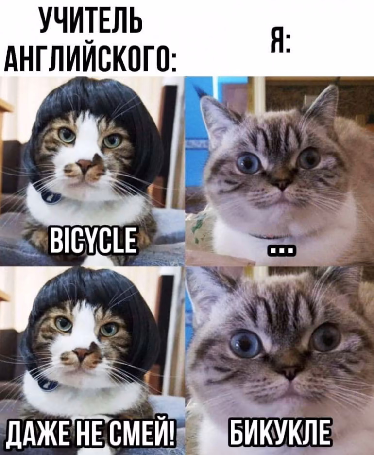2909a92a71f387d864f1d096f1c2b09b.avif
