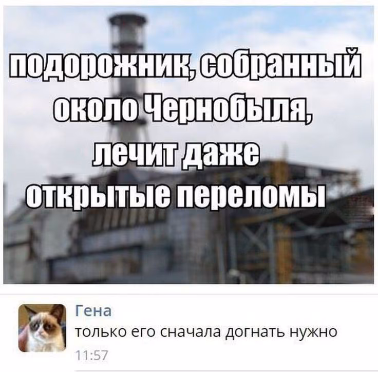 291560a8722918e53379c4bef232cb60.avif