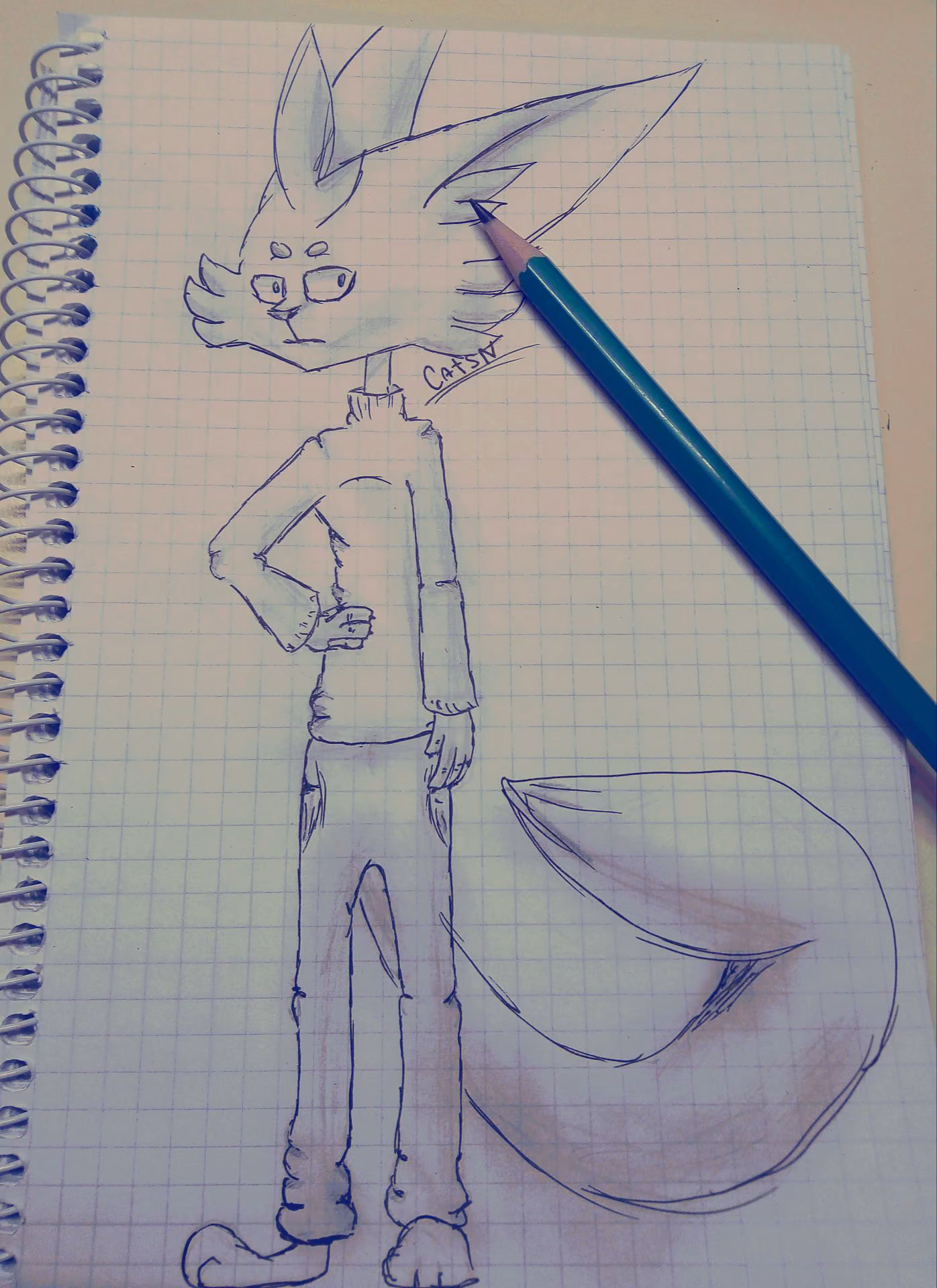 2916df52d1d74e0b18a30c42cfc216df.jpg