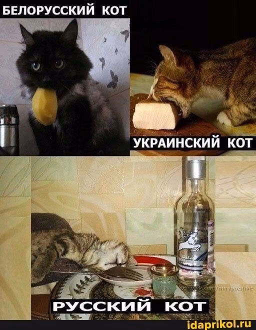 291ad34c361857b9ddc790099454cd44.jpg