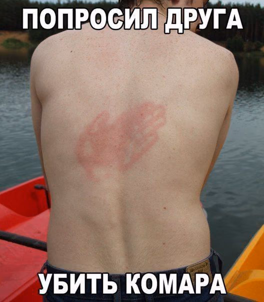 291bb472c8e962f1648606ecf9cb8edb.jpg