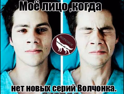 292d7c449a6d9240140a1a134d6e9112.jpg