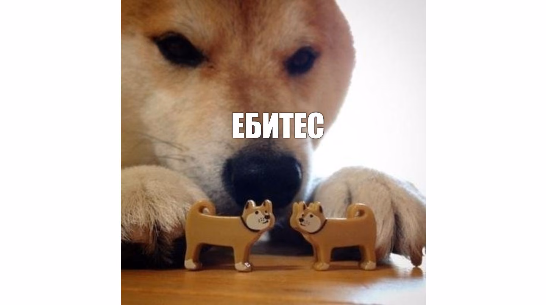 292fe2ba12341a0935ebb10174a0f375.avif