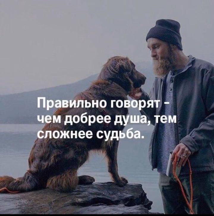2936c183160c82f30ffc0aebf5f838d2.jpg