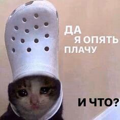 294184343c3f4f35f74eddeedc727b37.jpg