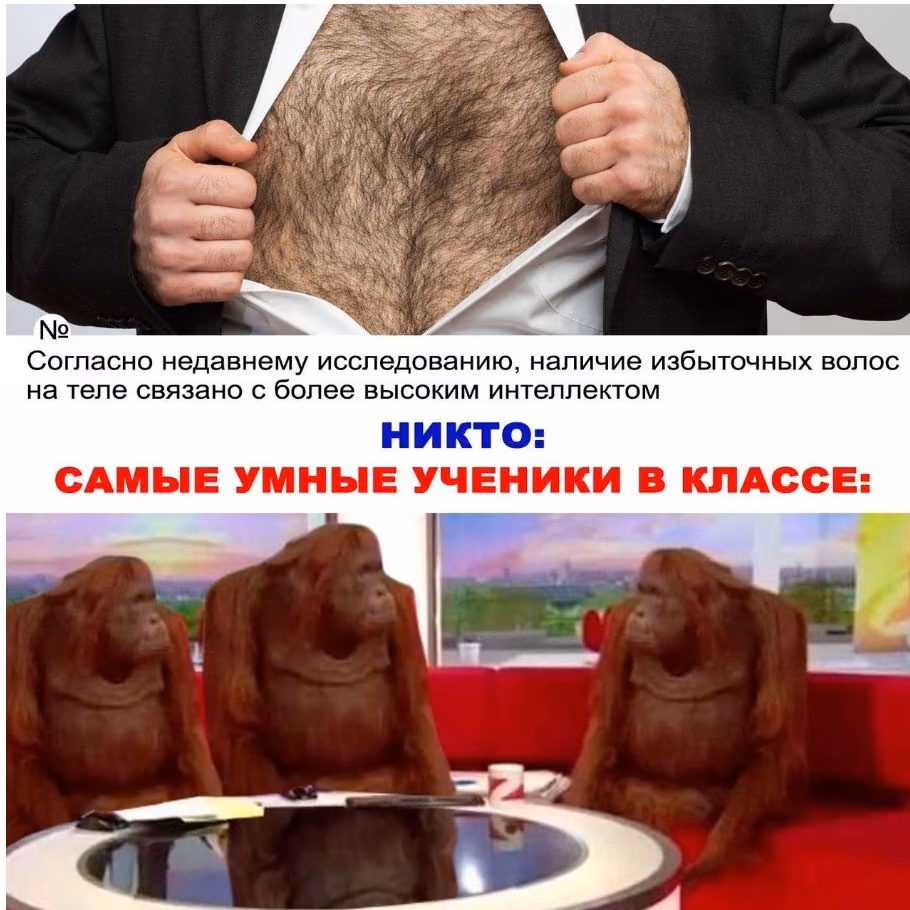 294aaf5b5316ea3ba4c36bf2ab816739.jpg