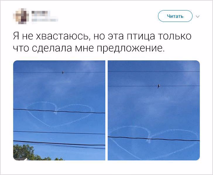 294cf96fd363e47590048bf362d212cf.avif