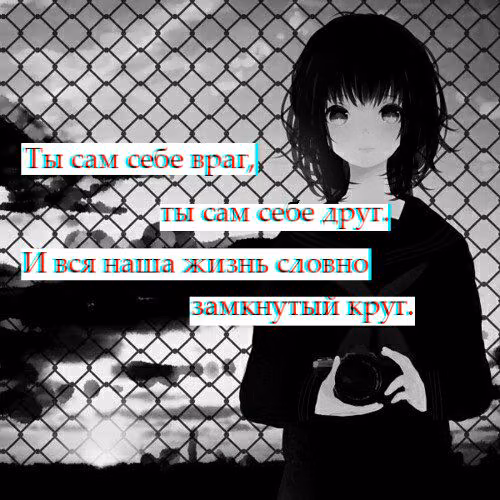 295598c37bf43a751d53c5ff93e60317.avif
