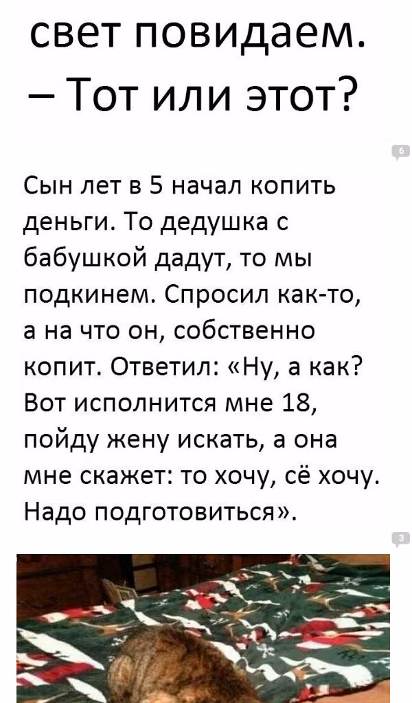 295bb4f110aee040751ed02f76947b54.avif
