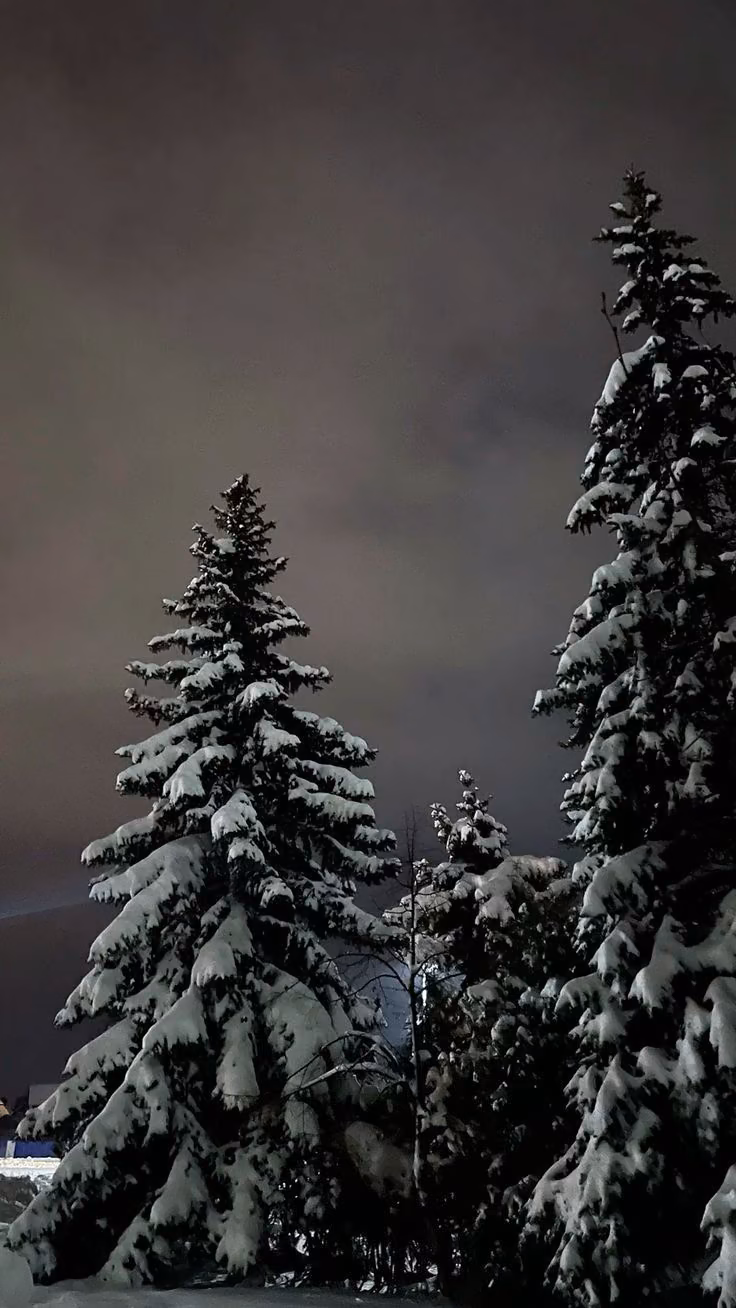 295feed9ad085b68c37cfcb6947ec05a.avif