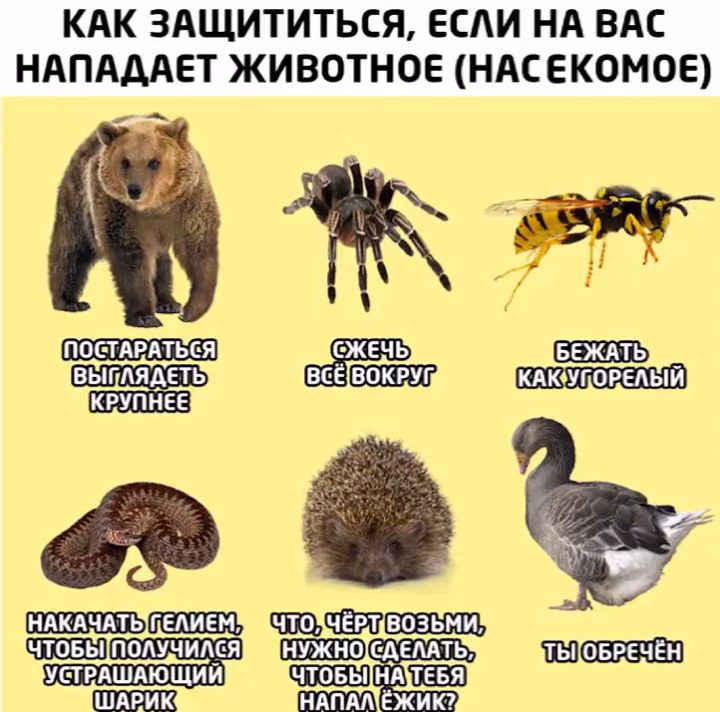 29646eb894ad06fc8a7c6714444d1a08.avif