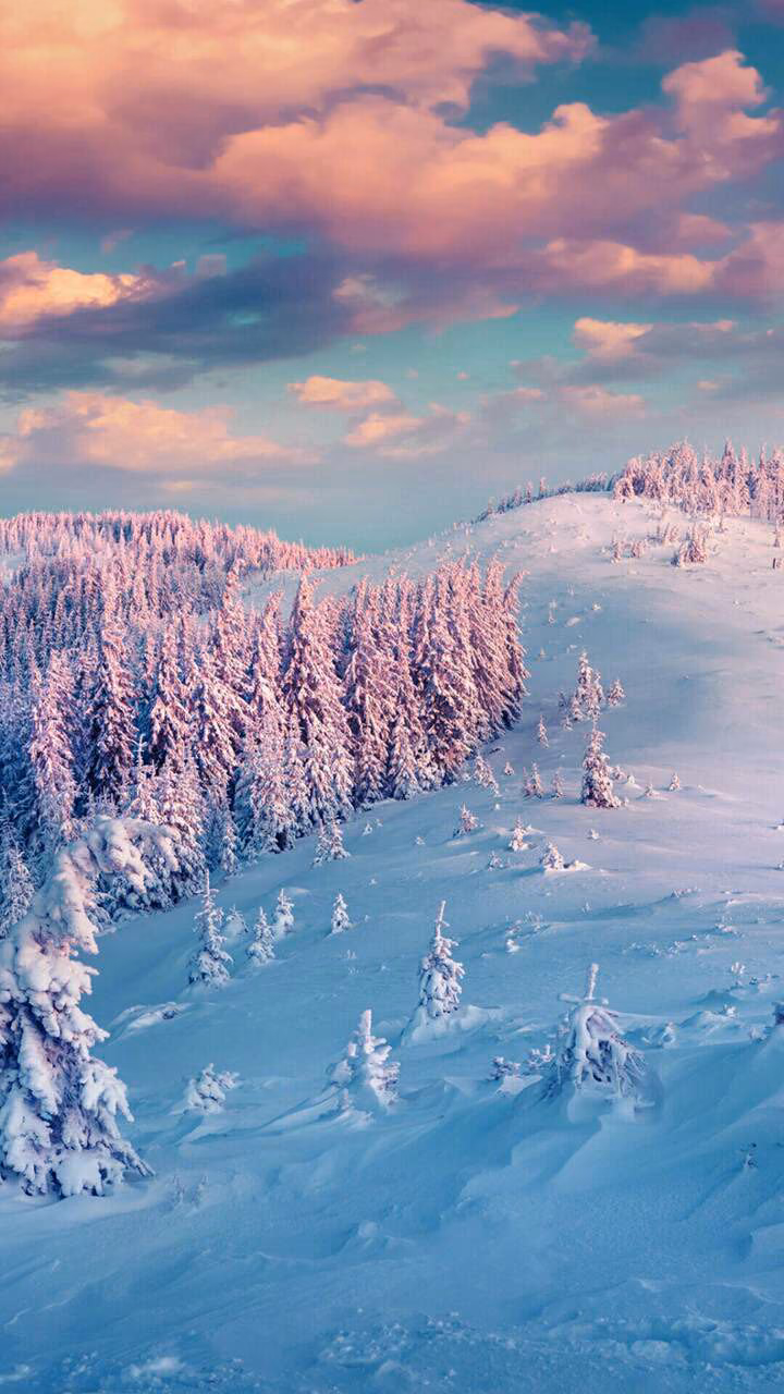 29696c11b6748d9dd5ed1da4a67738da.avif