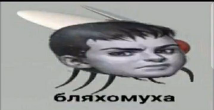 2982f566055191dab830673f84835657.jpg