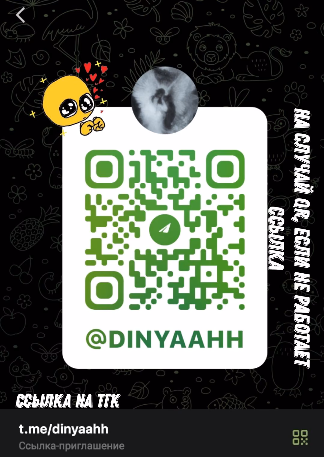 2990b0c7b2ed80639bd95757bcff1d07.avif