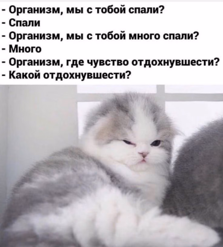 299f91f18da9bf4fe87193bd5bdd7905.avif