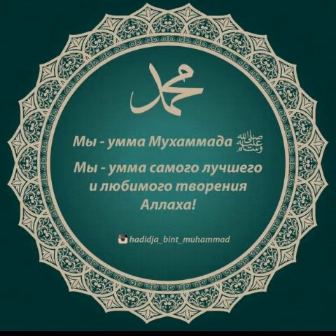29a5ba8539b4b48678da8d3ed1a86566.avif