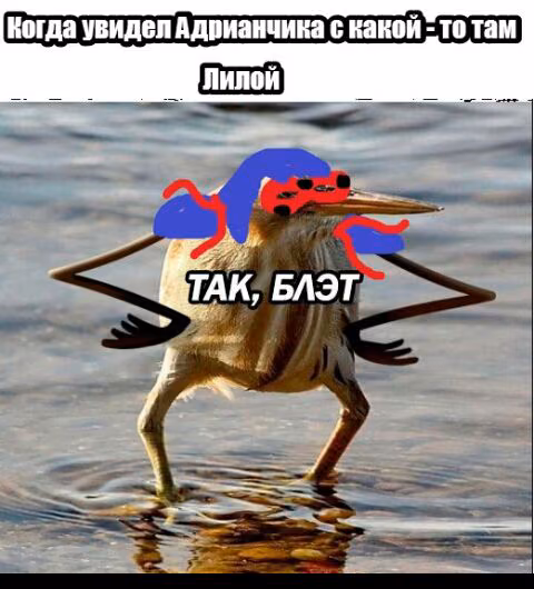 29ac5e10cfda20d4934031d8c748d996.avif