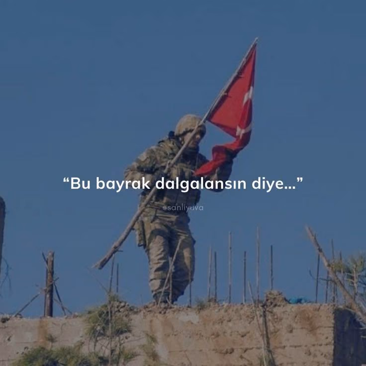 29adacd728b62a523cf9720e08f172f0.avif