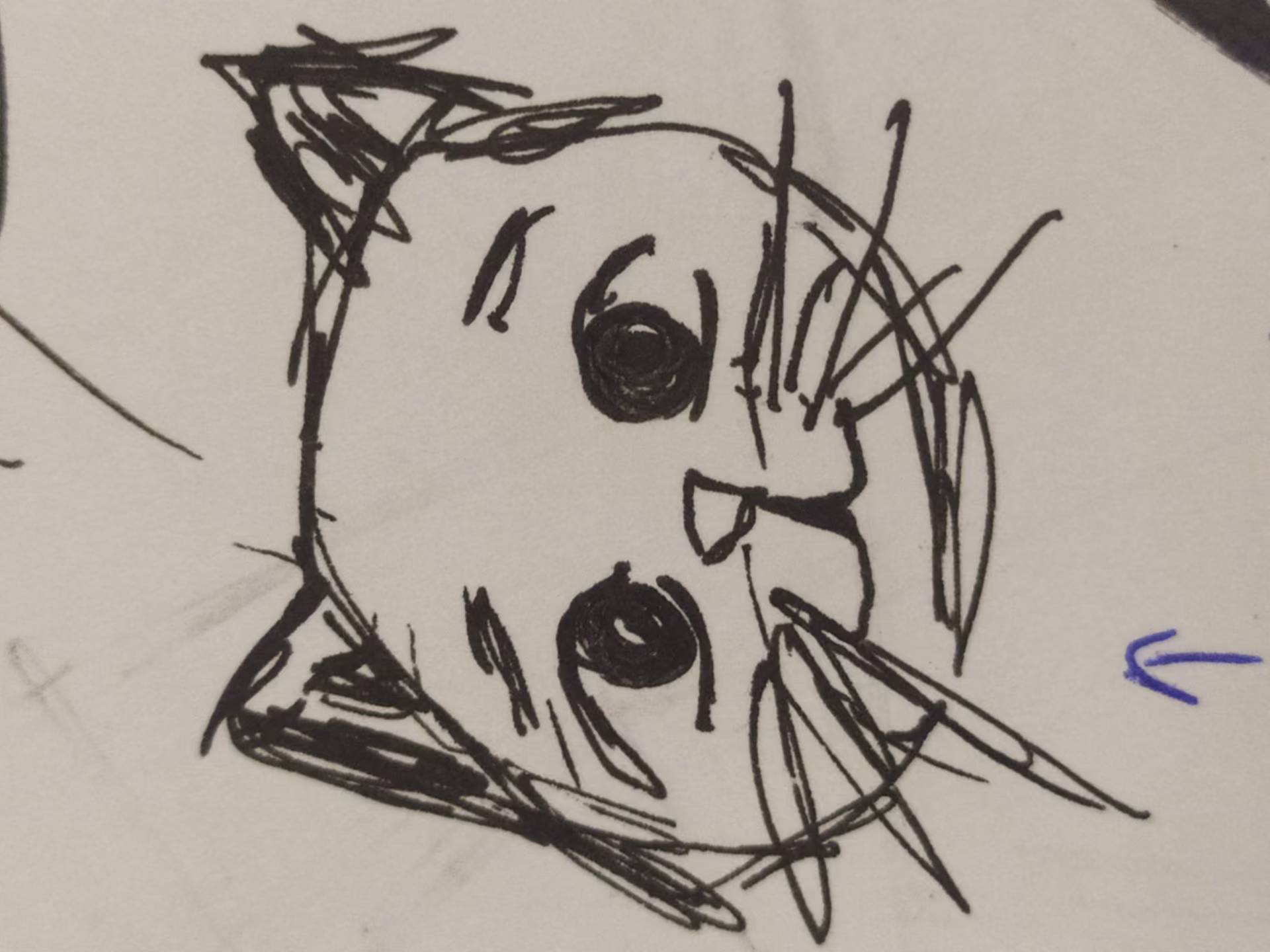 29ae93d2e0f001a8f5b435aa009ab0fb.jpg