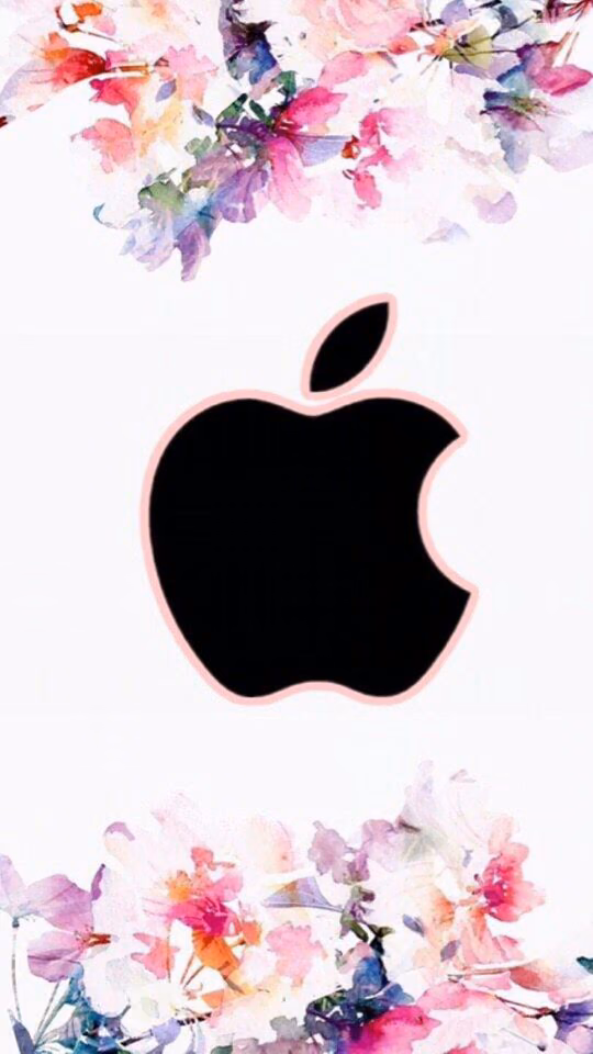 29c09ed00412454c04a81c4b058be48c.avif