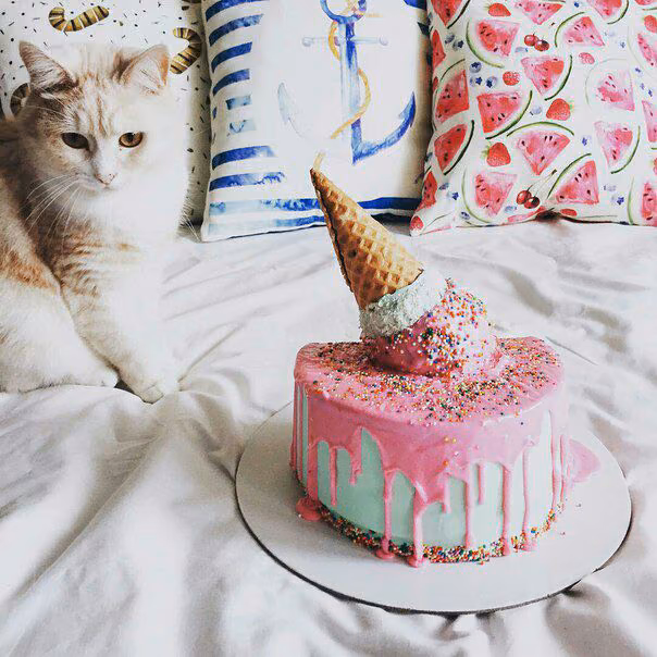 29cb0026f0c18207cd60eb427c7c6a56.jpg