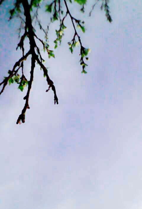 29cdf06e6c338404450a1d2dd2d67385.avif