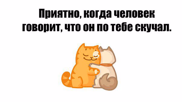 29e4aec09cd497caa9dd05af42d46a4a.jpg