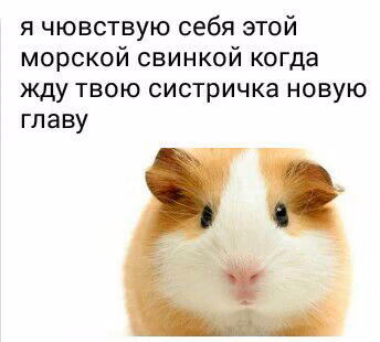 2a0cab4c7fd38142bb81437bbe58866f.jpg