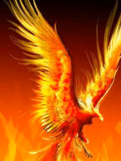 2a26ed38ef930a4065714e7d0ac4920f.jpg