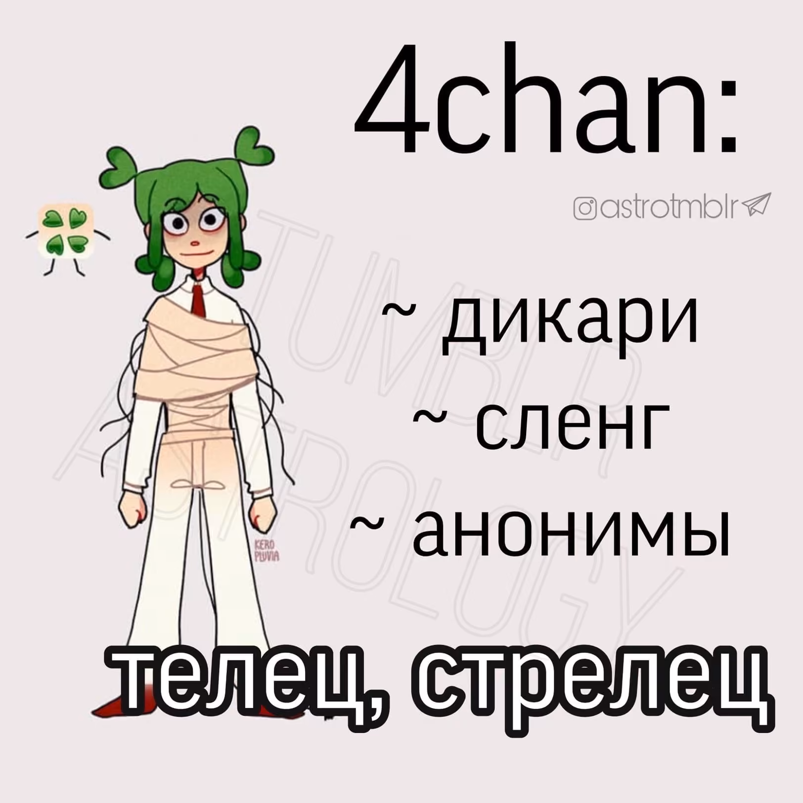 2a618169e2b9d508932f480e50124746.avif