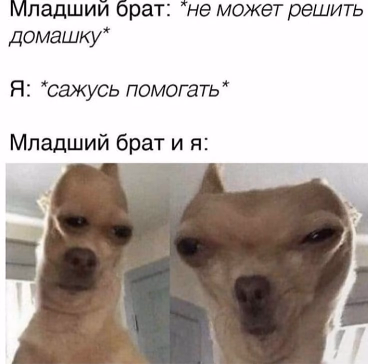 2a7c06640e5eae04be74acbcf9d91046.jpg