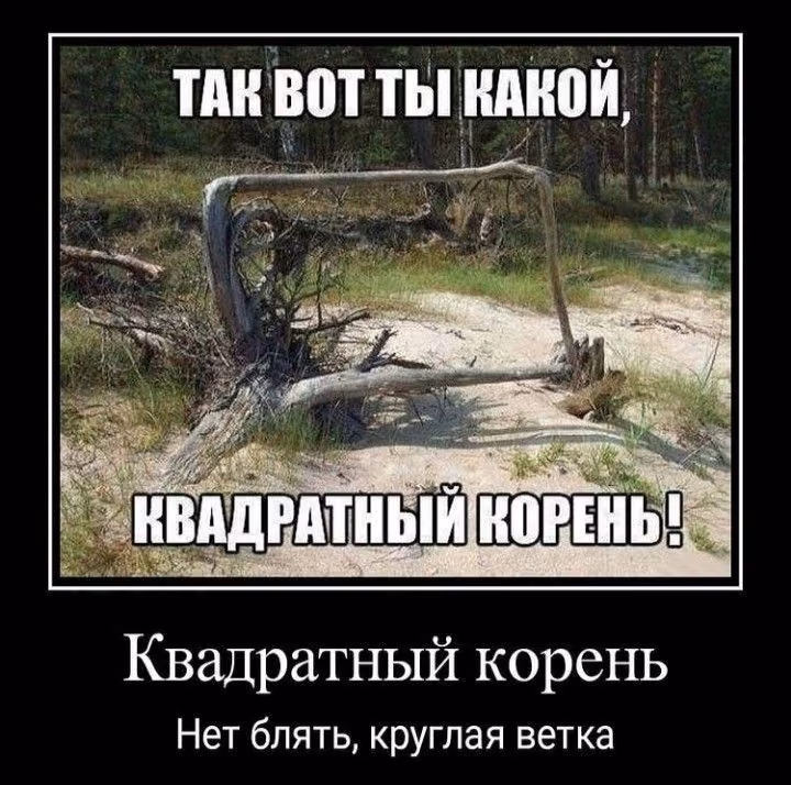2a7f621da7fa3d5949a80611f9b13d7e.jpg