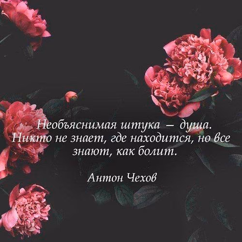 2a88e5465d394917e0f35b839eec2d33.jpg