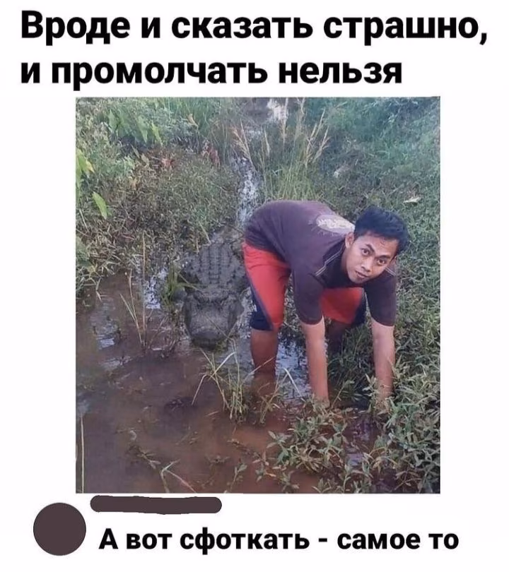 2aa01cac733c0a0e15f74f391ca406a7.avif