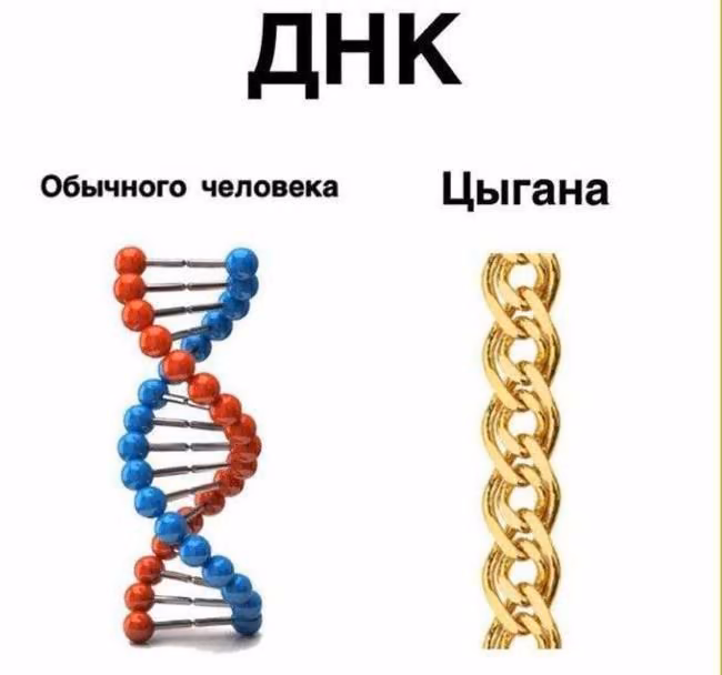 2ab25bb1a9ca7f31db8cc89140547f21.avif