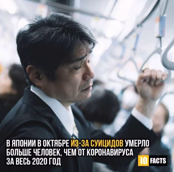 2ab8a4e48319c5a1833e46c5aa2d78b0.avif