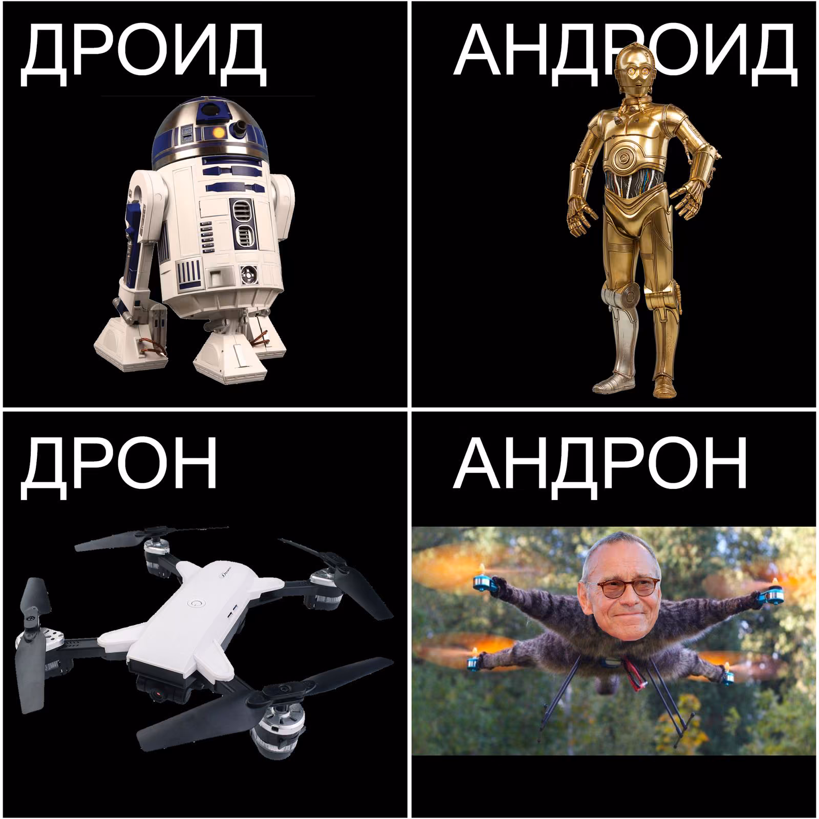 2abbfbd0026eb8bf15f273678c88b341.jpg