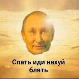 2acbd41661710469f94c7c780147da76.avif