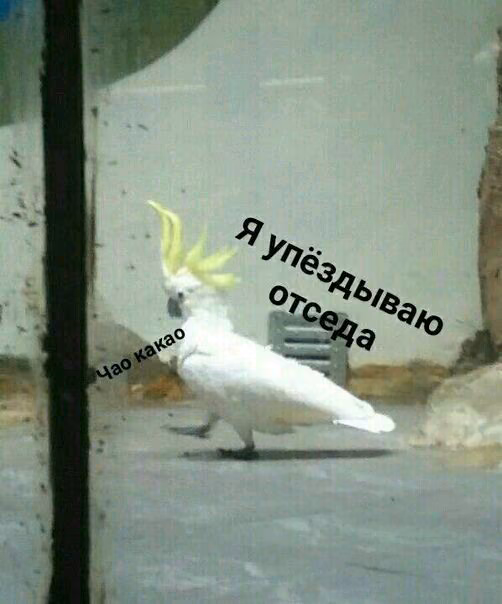 2acd5bb335f1016d32ce5f5148352600.avif