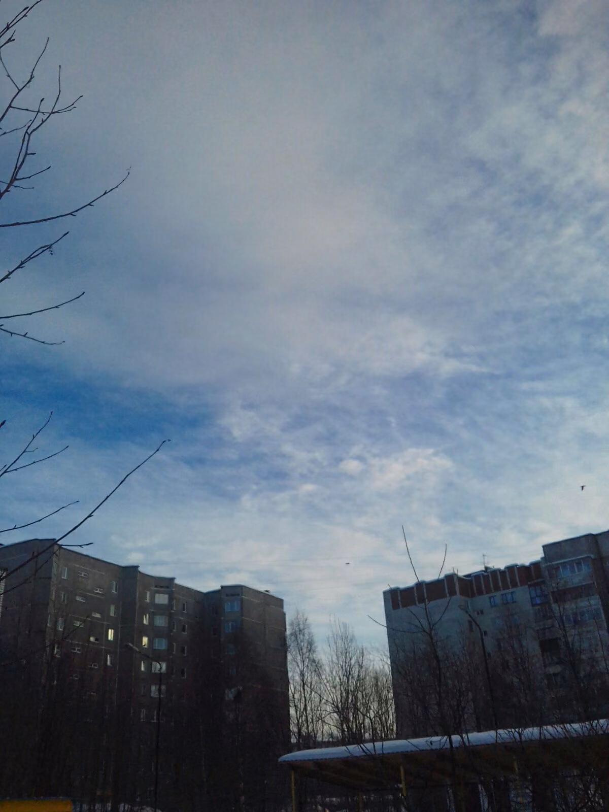 2adc5c29418054f76690426e192ee965.jpg