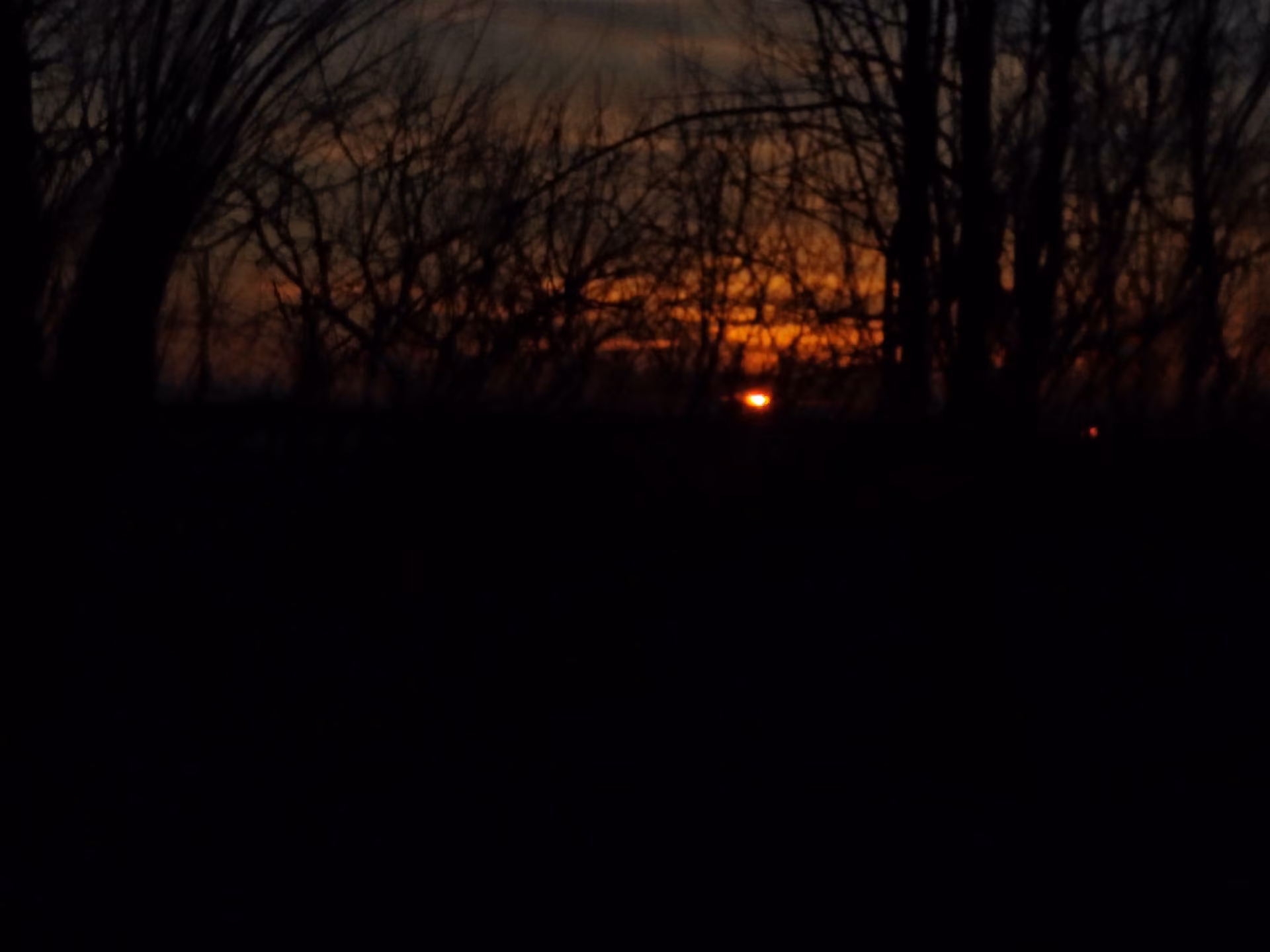 2ae216603b8cc8d9341b65fd54d8e041.jpg