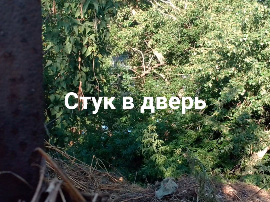 2ae6c7a9e988c1520db7f9481972c9c2.jpg