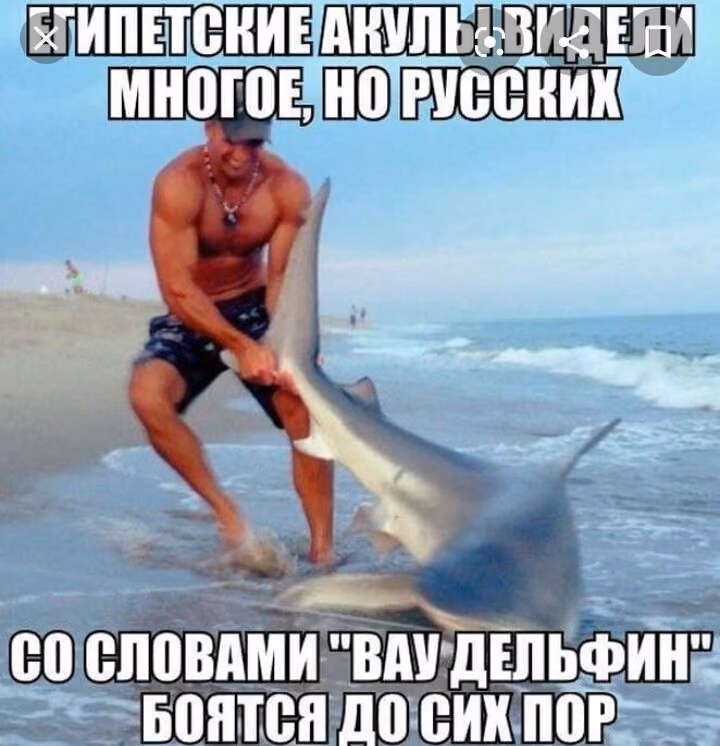 2af34430ea52ce23096197949bb1d099.jpg