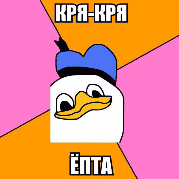 2af8f426d093212c6d9a12ff78a08982.avif