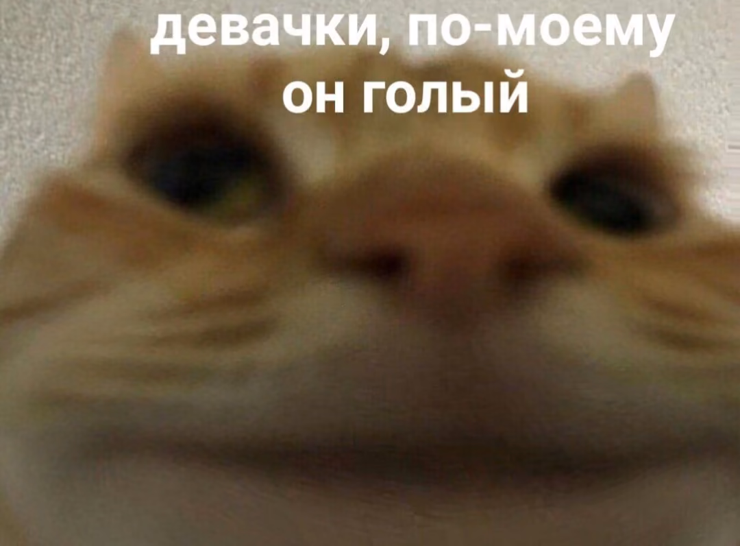 2afc29d7138b577c06d3e6710c10d6ce.avif