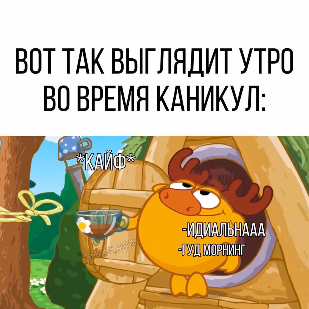 2b009bf339e6c07155238f3d9f220bf3.avif